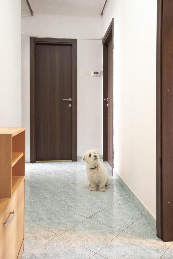 Cosy Apartment Hugo Osijek Zewnętrze zdjęcie
